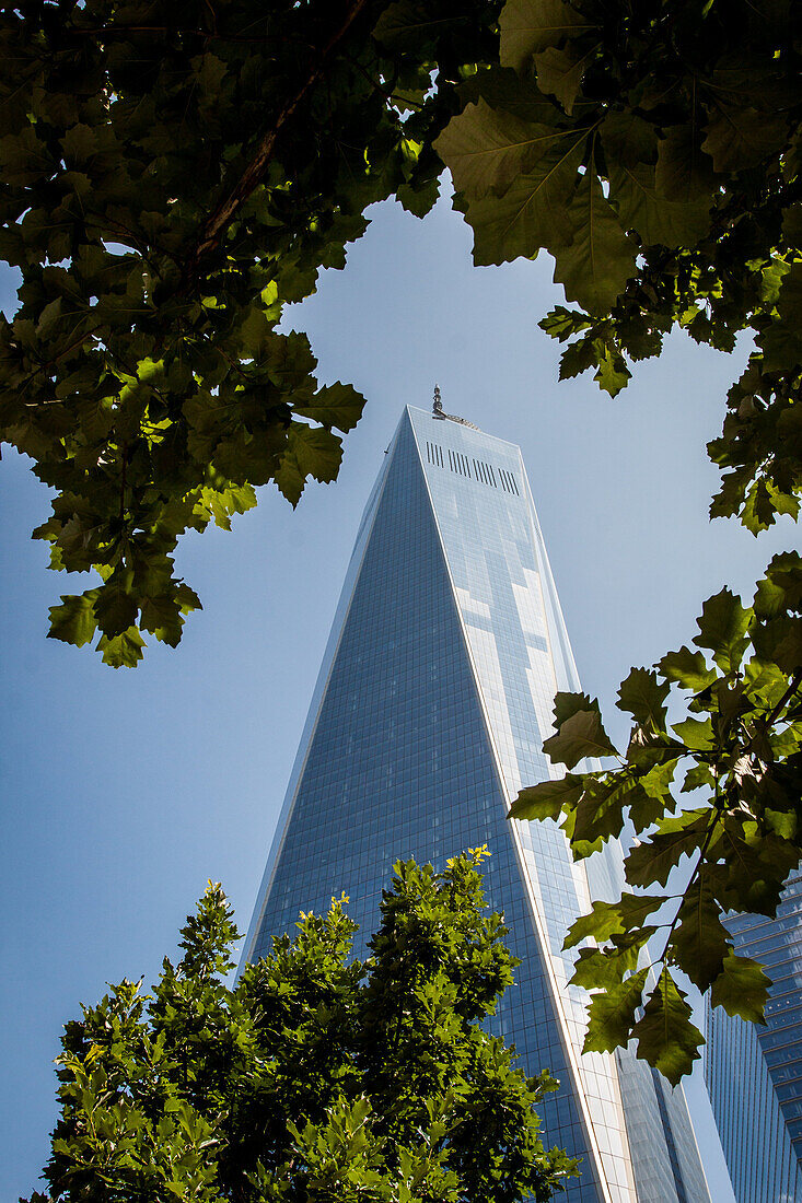 perspective of the one world trade center tower from the memorial devoted to the september 11, 2001 terrorist attacks, ground zero, downtown manhattan, new york city, state of new york, united states, usa