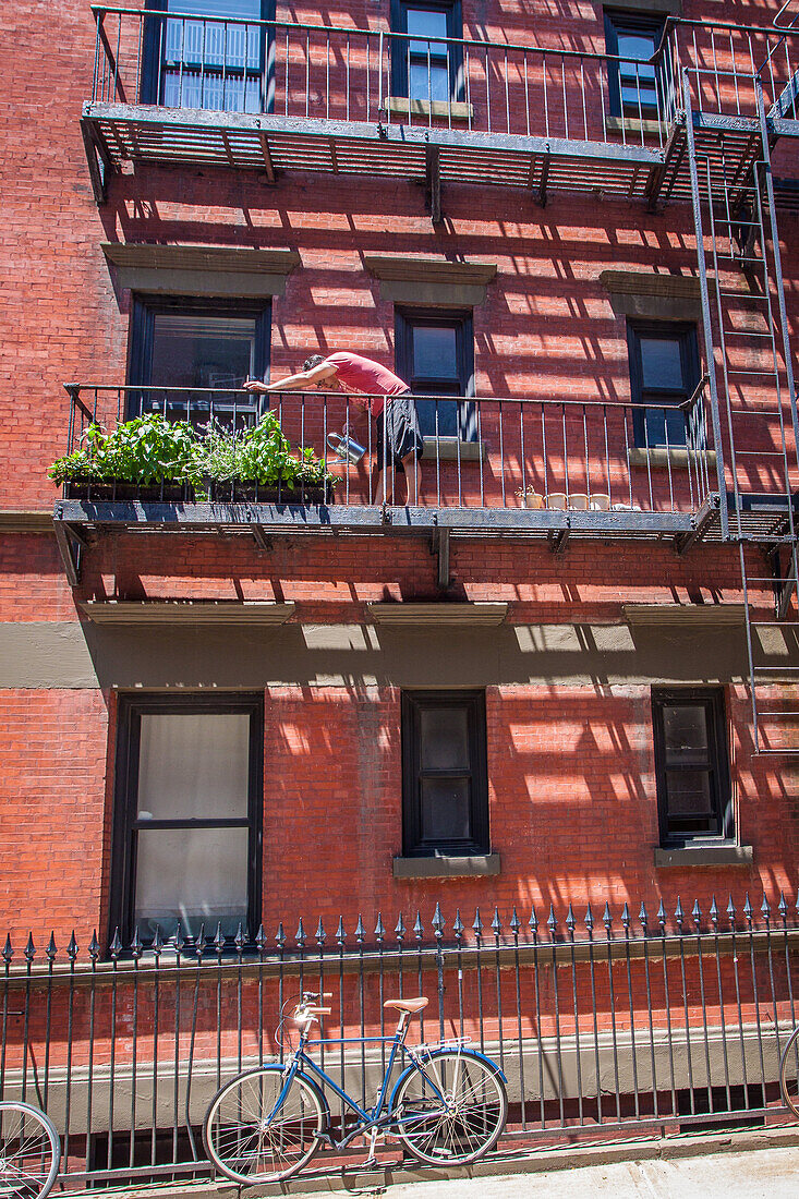 new yorker watering plants on a balcony in greenwich village, manhattan, new york city, state of new york, united states, usa