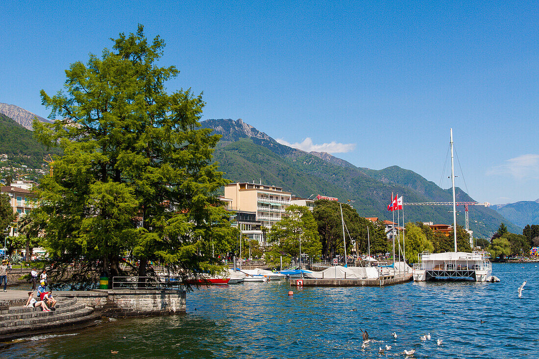 banks of lake maggiore in locarno, canton of ticino, switzerland