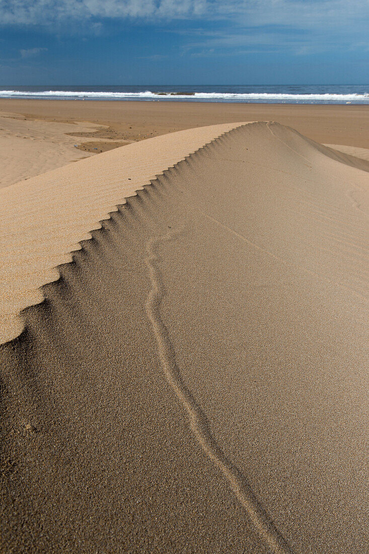 sand ripples on the dunes of taghart beach, essaouira, mogador, atlantic ocean, morocco, africa
