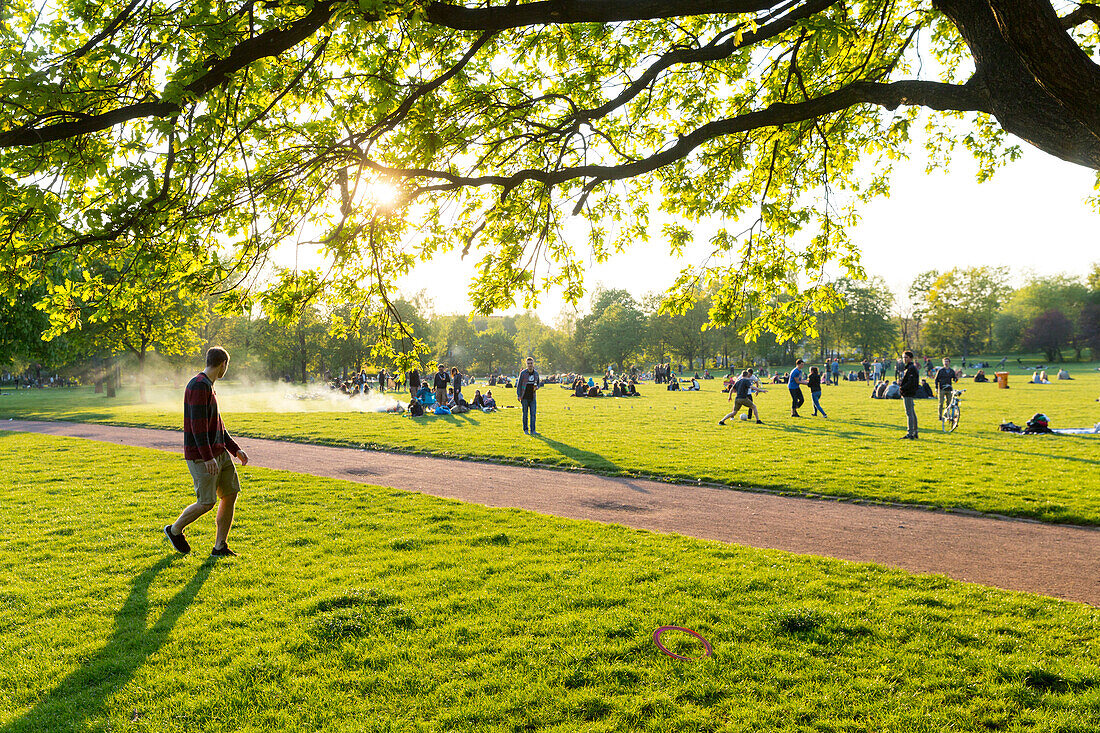 park, meadow, green city, summer,  Alaunplatz, Alaunpark, Neustadt Dresden-Neustadt, Dresden, Saxony, Germany, Europe