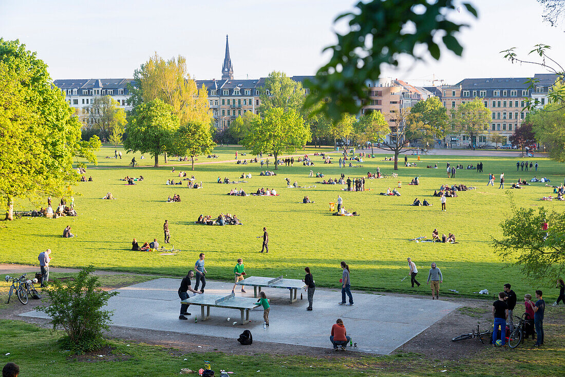 park, meadow, green city, summer,  Alaunplatz, Alaunpark, Neustadt Dresden-Neustadt, Dresden, Saxony, Germany, Europe