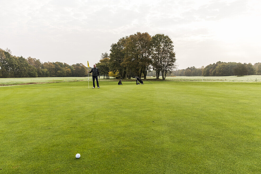 Golfspieler auf dem Grün beim putten auf einem Platz bei Hamburg, Norddeutschland, Deutschland