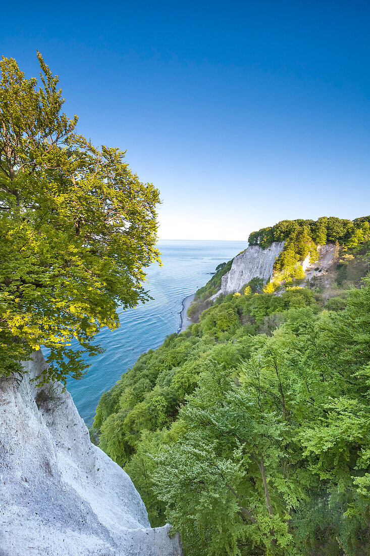 Blick vom Königsstuhl, Stubbenkammer, Nationalpark Jasmund, Rügen, Mecklenburg-Vorpommern, Deutschland