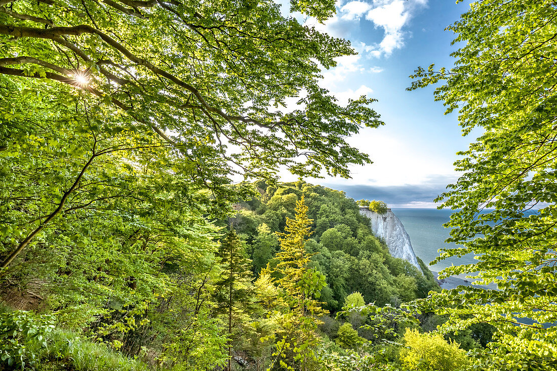 Blick vom Königsstuhl, Stubbenkammer, Victoria-Sicht, Nationalpark Jasmund, Rügen, Mecklenburg-Vorpommern, Deutschland