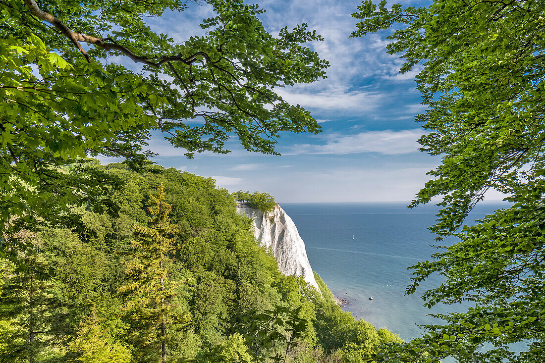 Blick vom Königsstuhl, Stubbenkammer, Victoria-Sicht, Nationalpark Jasmund, Rügen, Mecklenburg-Vorpommern, Deutschland