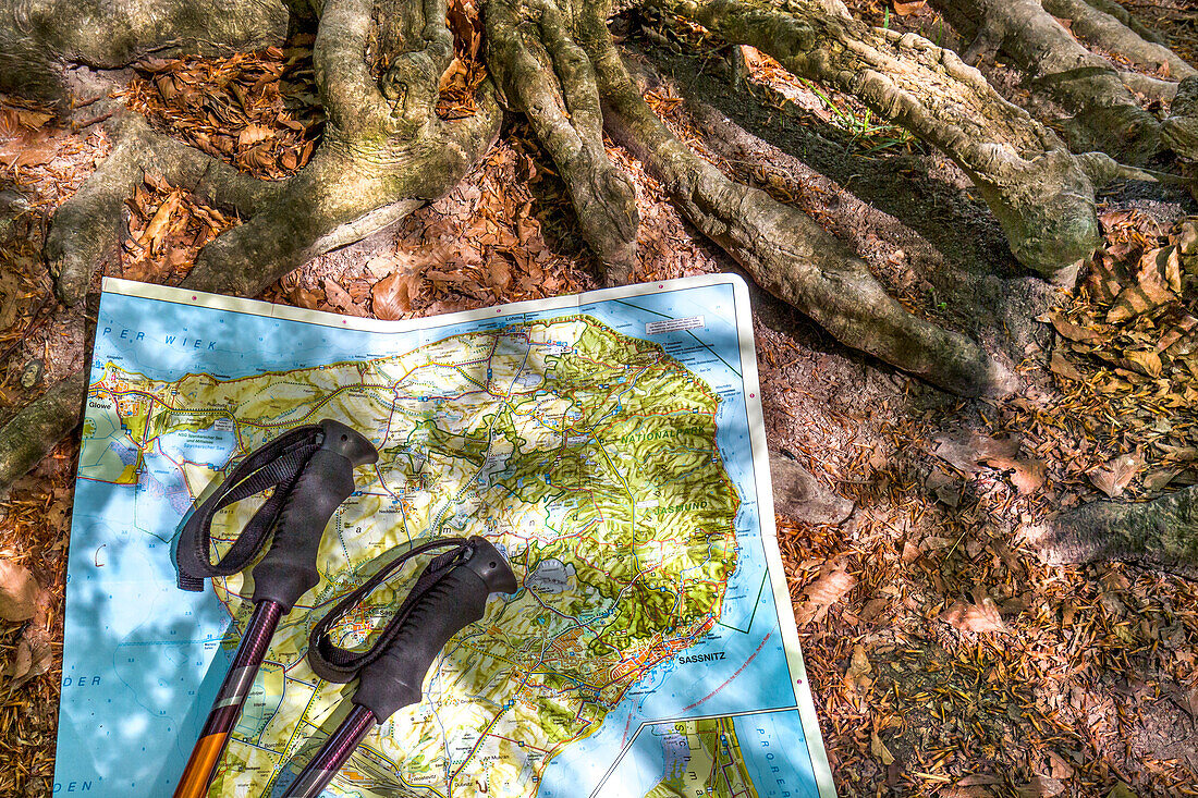 Map and walking sticks, Ruegen Island, Mecklenburg-Western Pomerania, Germany