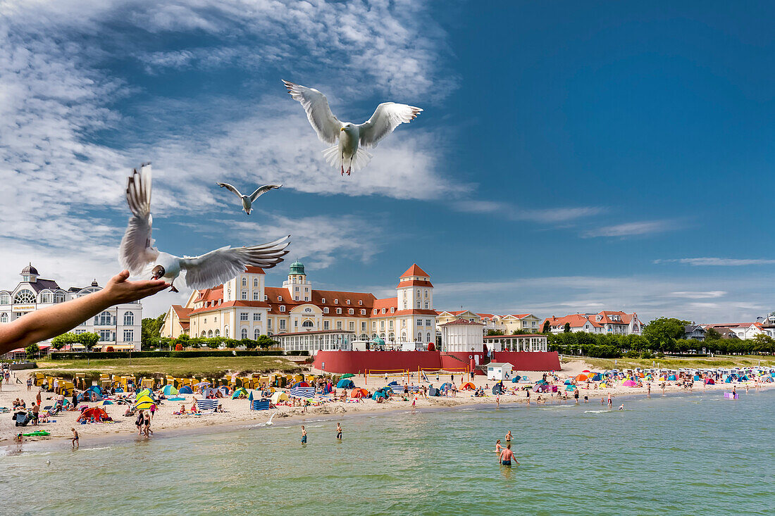 Seagulls and Kurhaus, Binz, Rügen Island, Mecklenburg-Western Pomerania, Germany