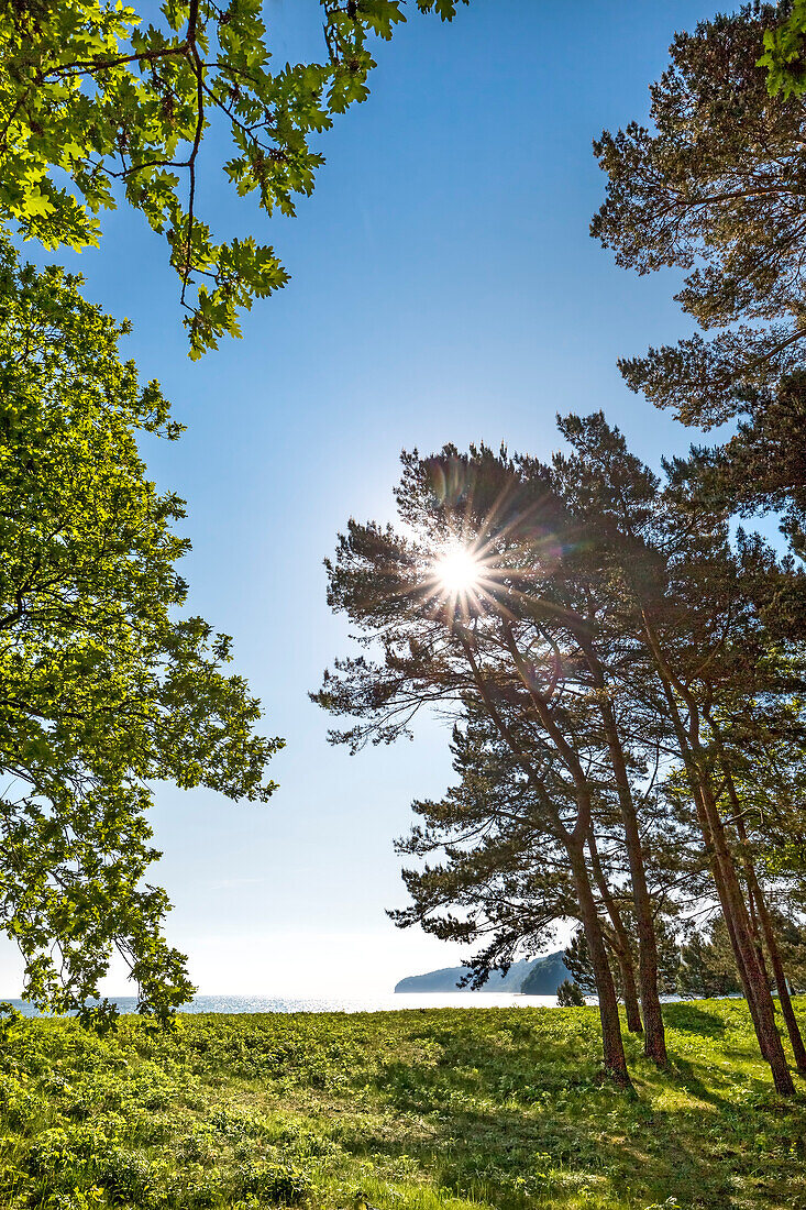 View towards the sea, Binz, Ruegen Island, Mecklenburg-Western Pomerania, Germany