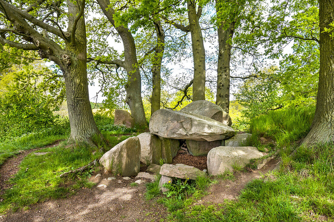 Prehistoric grave, Lancken-Granitz, Ruegen Island, Mecklenburg-Western Pomerania, Germany