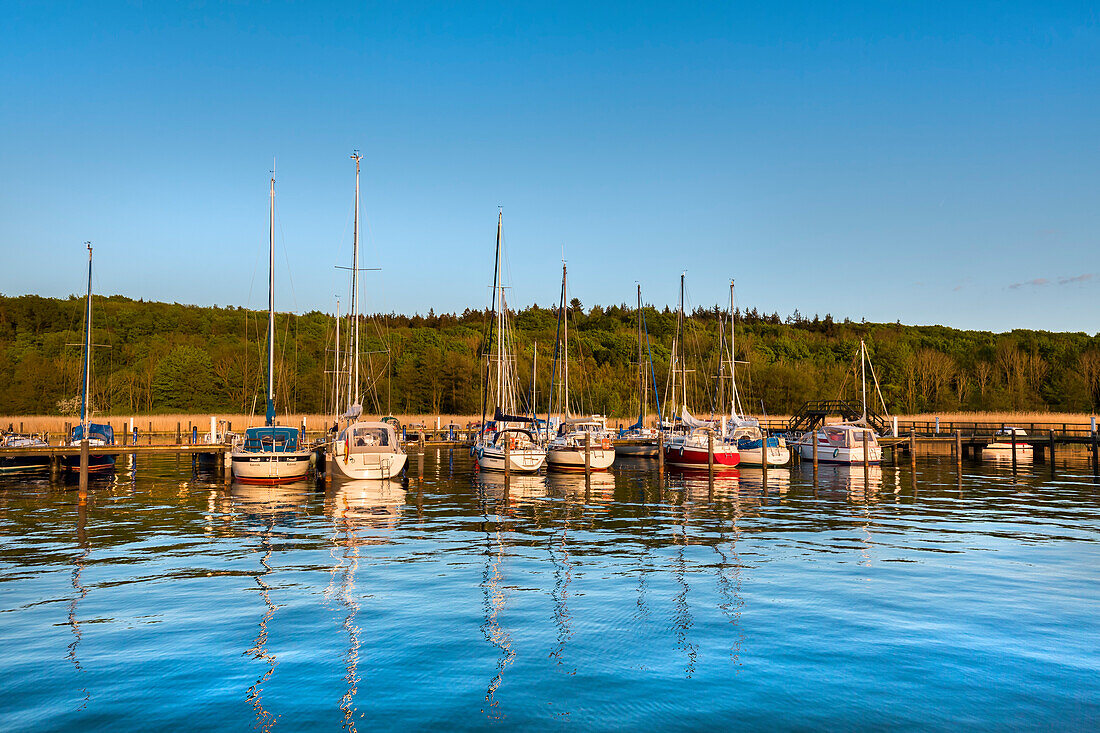 Hafen, Großer Jasmunder Bodden, Ralswiek, Rügen, Mecklenburg-Vorpommern, Deutschland