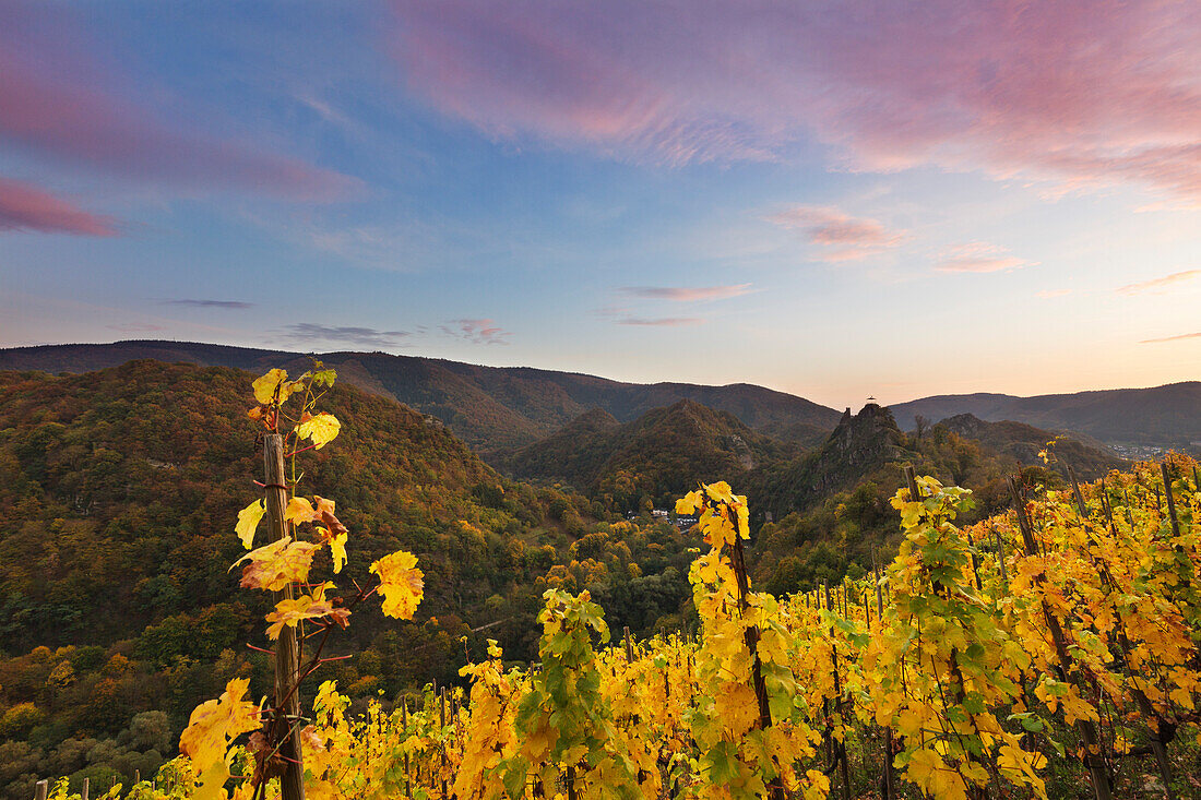 View from the vineyards to Are castle, Altenahr, Ahrsteig hiking trail, Rotweinwanderweg hiking trail, Ahr, Rhineland-Palatinate, Germany