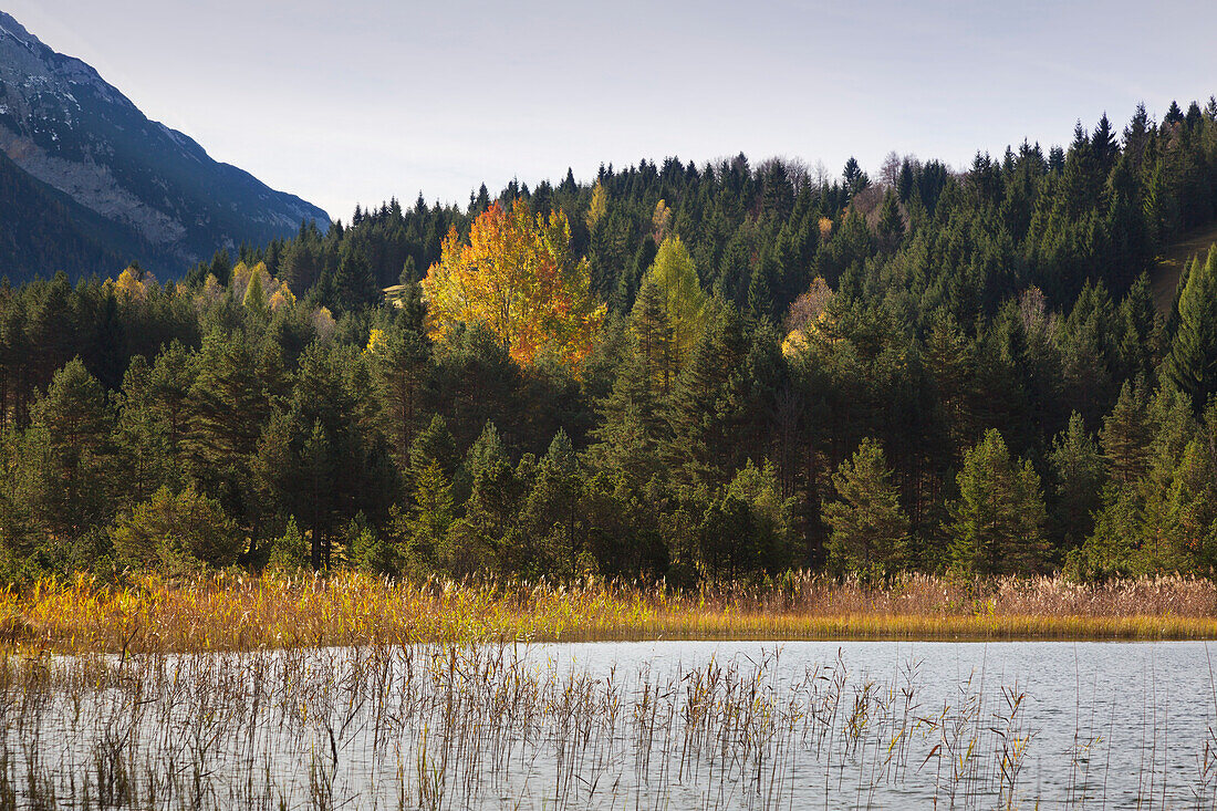 Luttensee, near Mittenwald, Werdenfelser Land, Bavaria, Germany