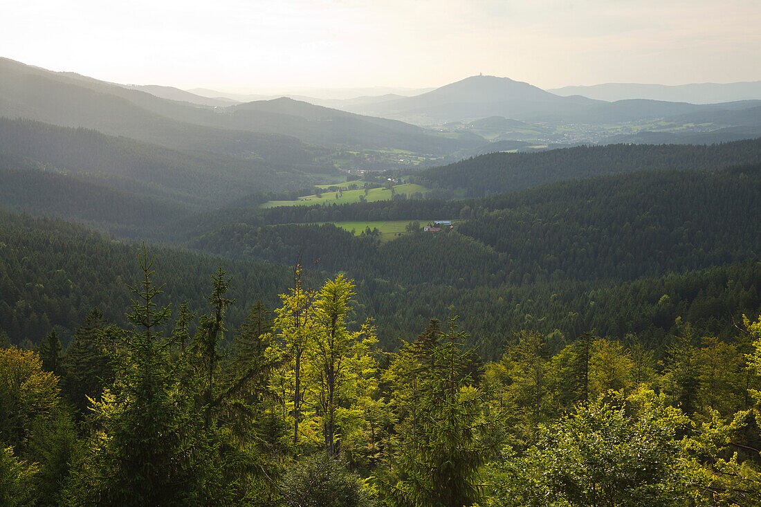 View over Lamer Winkel towards Hoher Bogen, Bavarian Forest, Bavaria, Germany