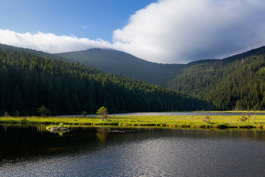 Kleiner Arbersee, Blick zum Großen Arber, Bayrischer Wald, Bayern, Deutschland