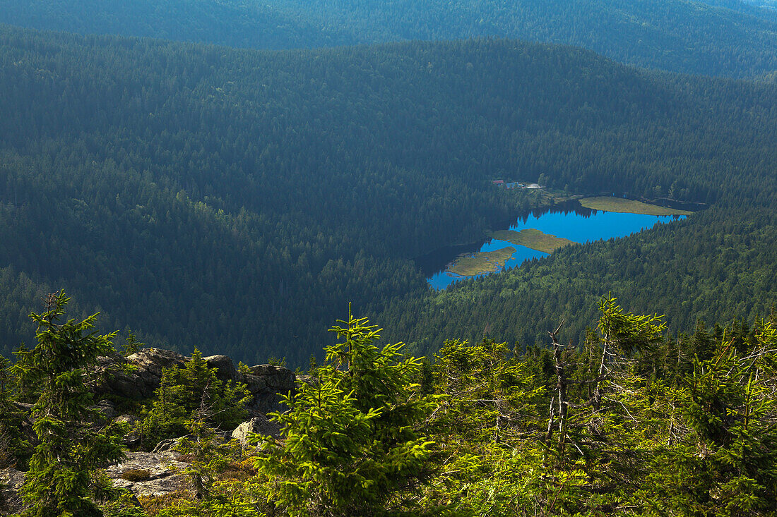 View from Grosser Arber to the afloat isles at Kleiner Arbersee, Bavarian Forest, Bavaria, Germany