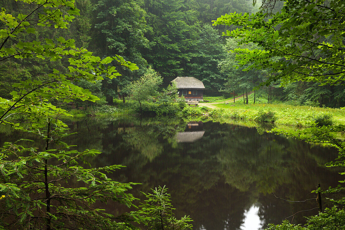 Pond at Hoellbachschwelle, hiking path to Grosser Falkenstein, Bavarian Forest, Bavaria, Germany