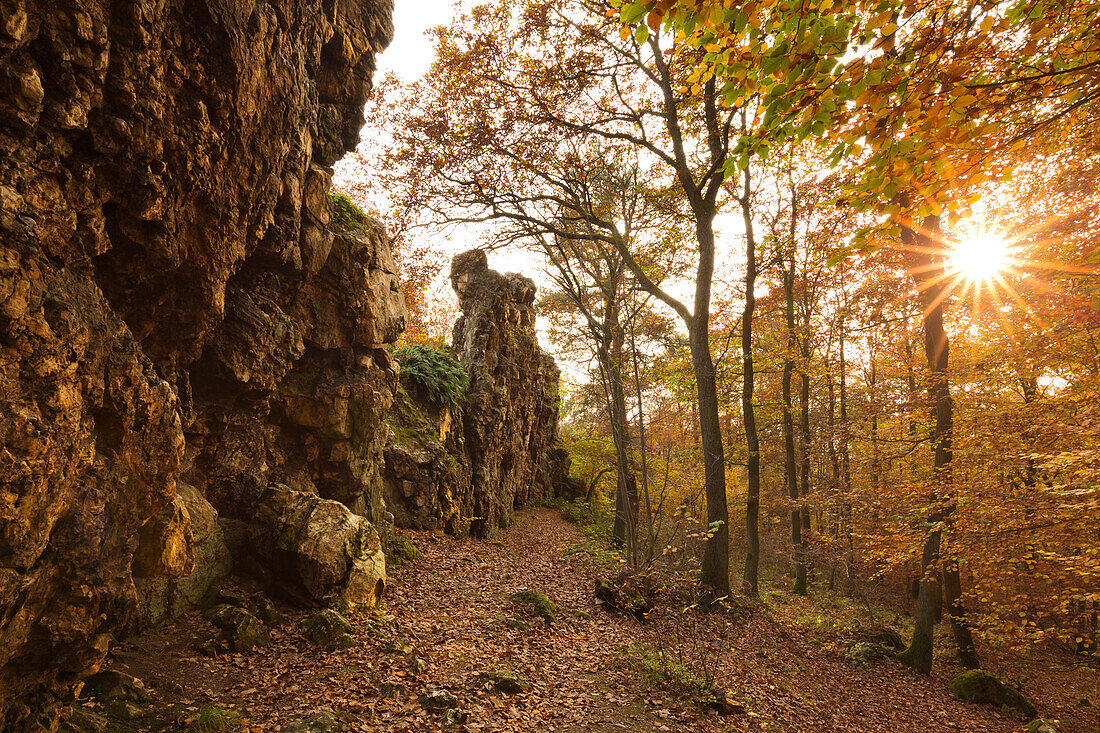Nature reserve Teufelsley, biggest connected quarzite block in Europe, near Hoenningen, Eifel, Rhineland-Palatinate, Germany