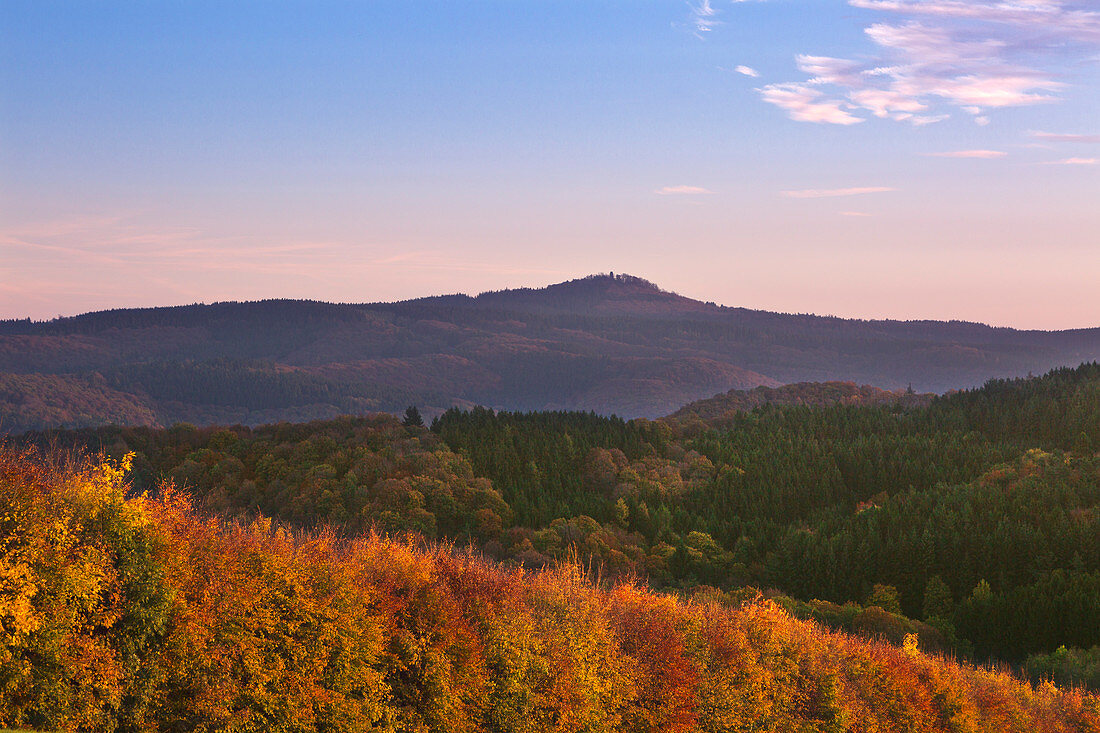 View to the Hohe Acht look-out tower, near Adenau, Eifel, Rhineland-Palatinate, Germany