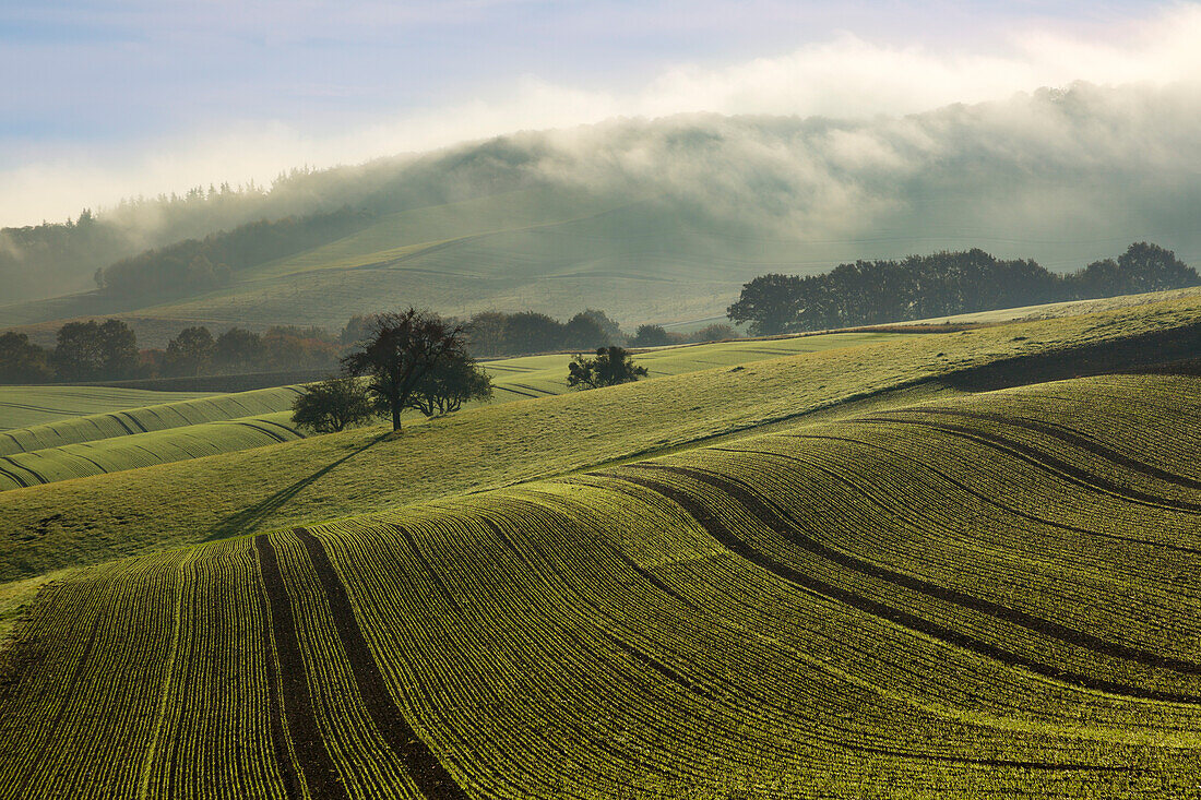 Morning mist over the fields, near Niederzissen, Eifel, Rhineland-Palatinate, Germany