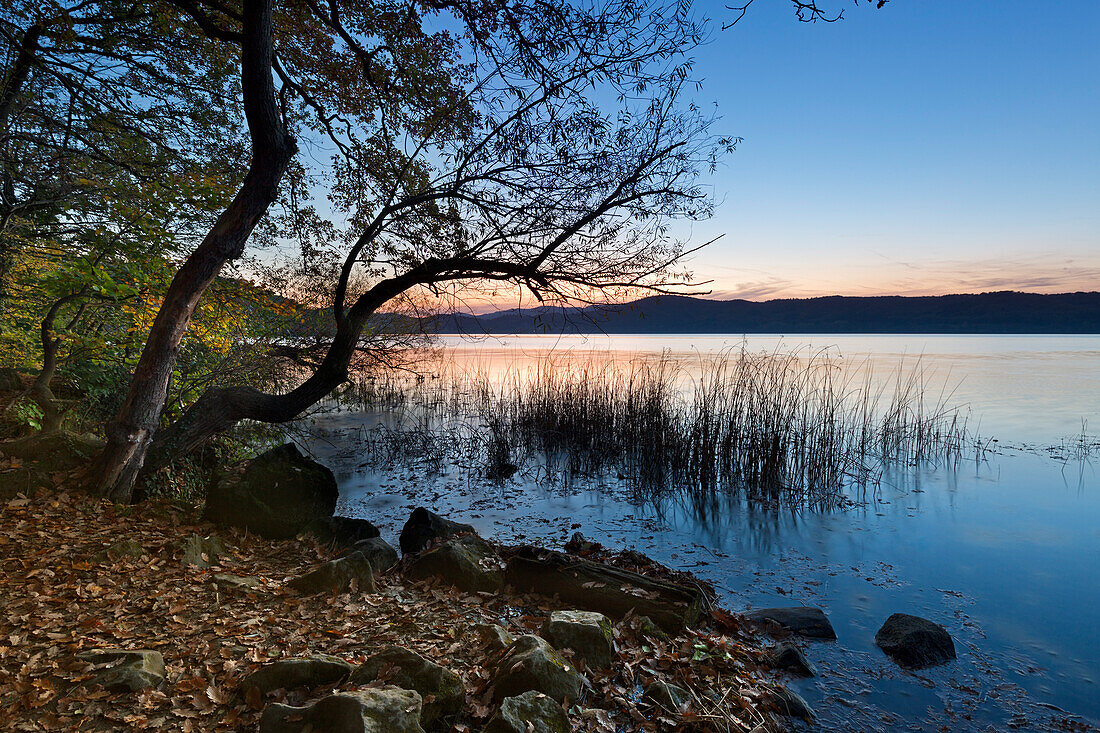 Am Laacher See, bei Maria Laach, Eifel, Rheinland-Pfalz, Deutschland
