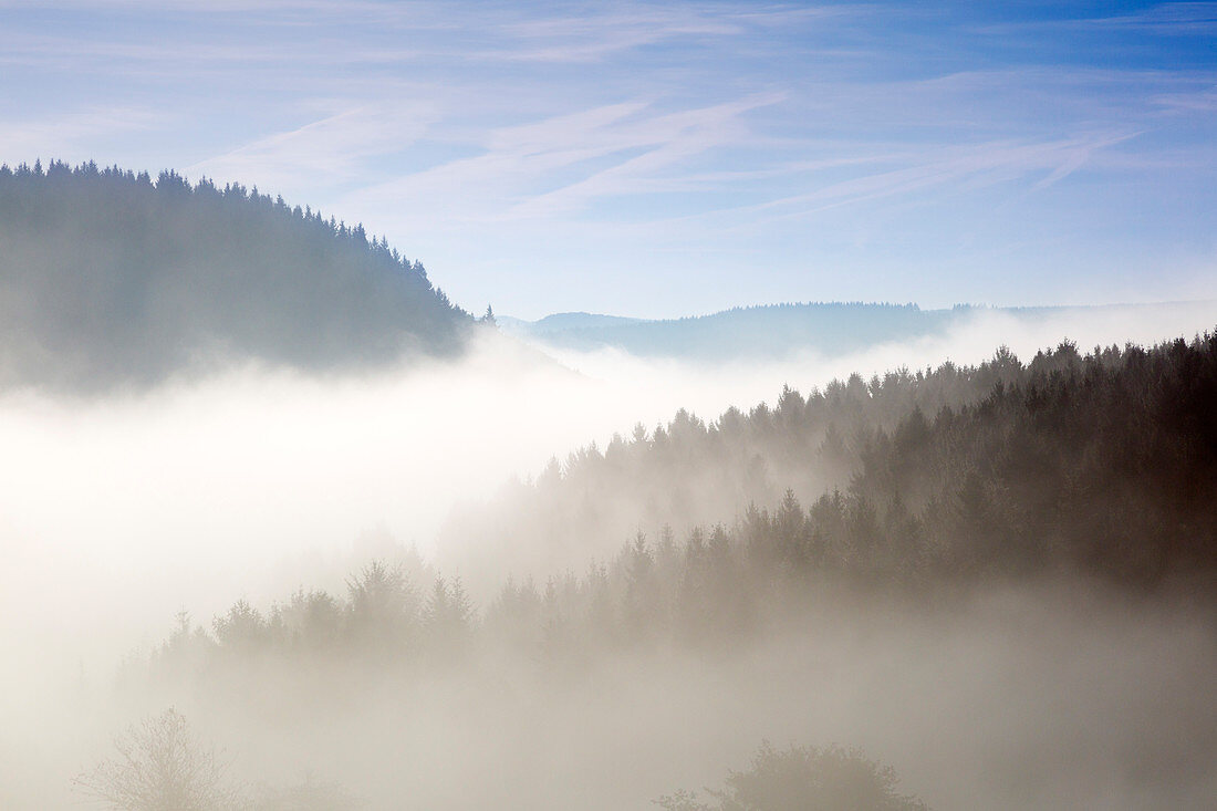 Morning mist, near Lind, Eifel, Rhineland-Palatinate, Germany