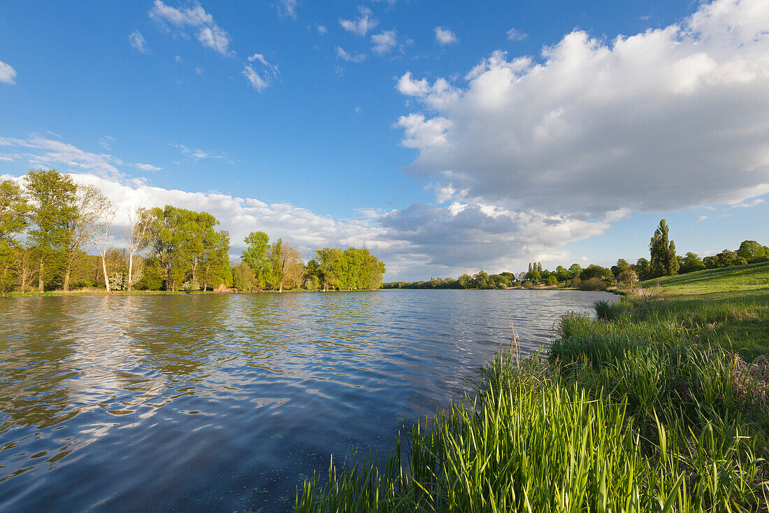 Birtener Altrhein, Altrheinarm bei Xanten, Niederrhein, Nordrhein-Westfalen, Deutschland