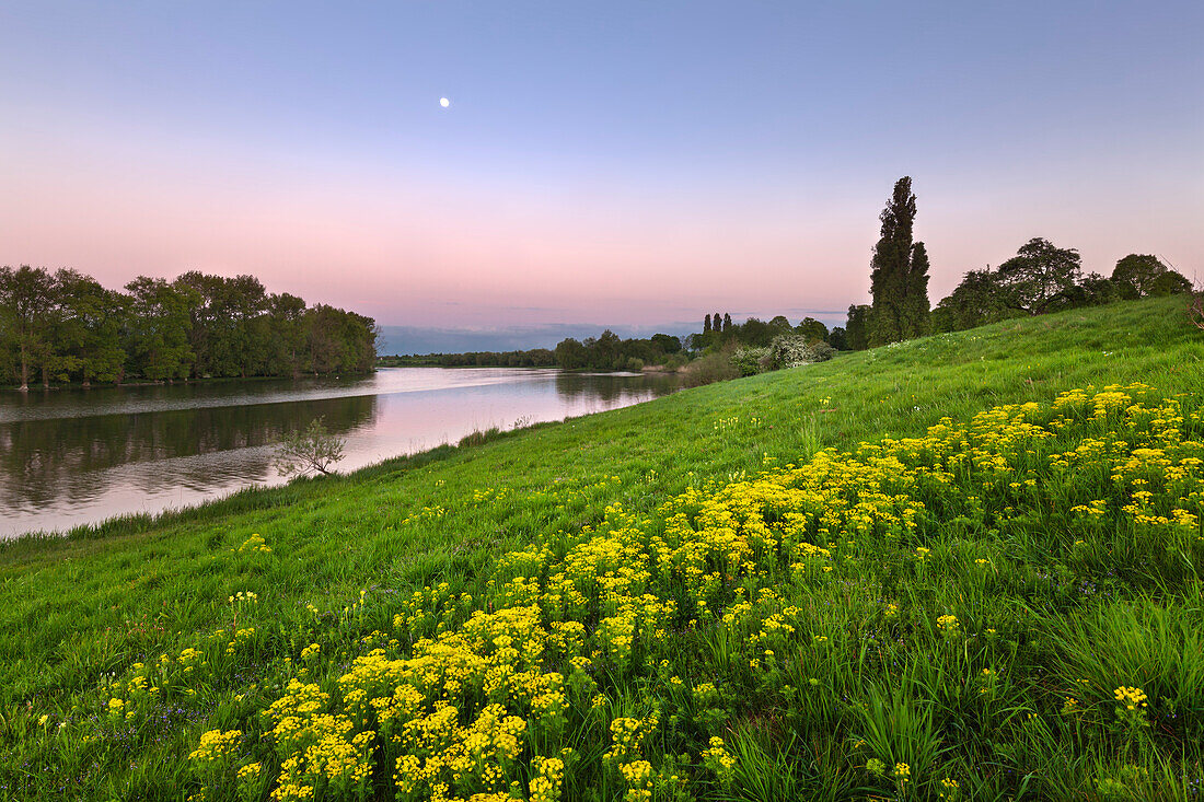 Full moon, Birtener Altrhein, old arm of the Rhine river, near Xanten, Lower Rhine, North-Rhine Westphalia, Germany