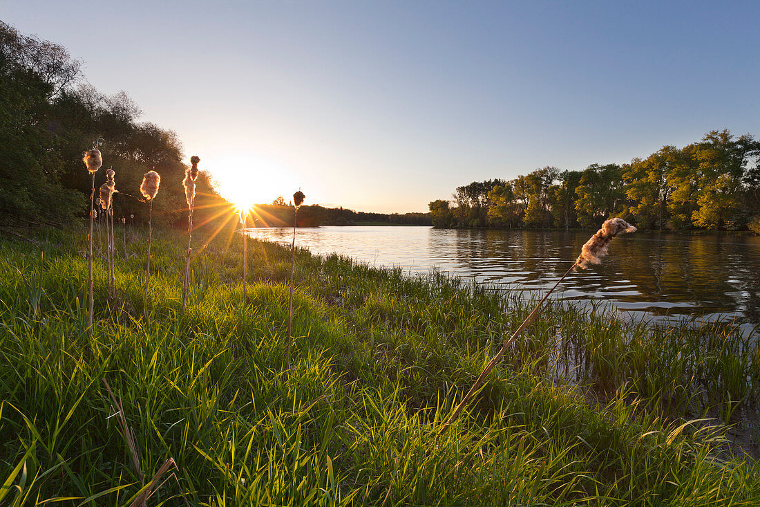 Birtener Altrhein, old arm of the Rhine river, near Xanten, Lower Rhine, North-Rhine Westphalia, Germany