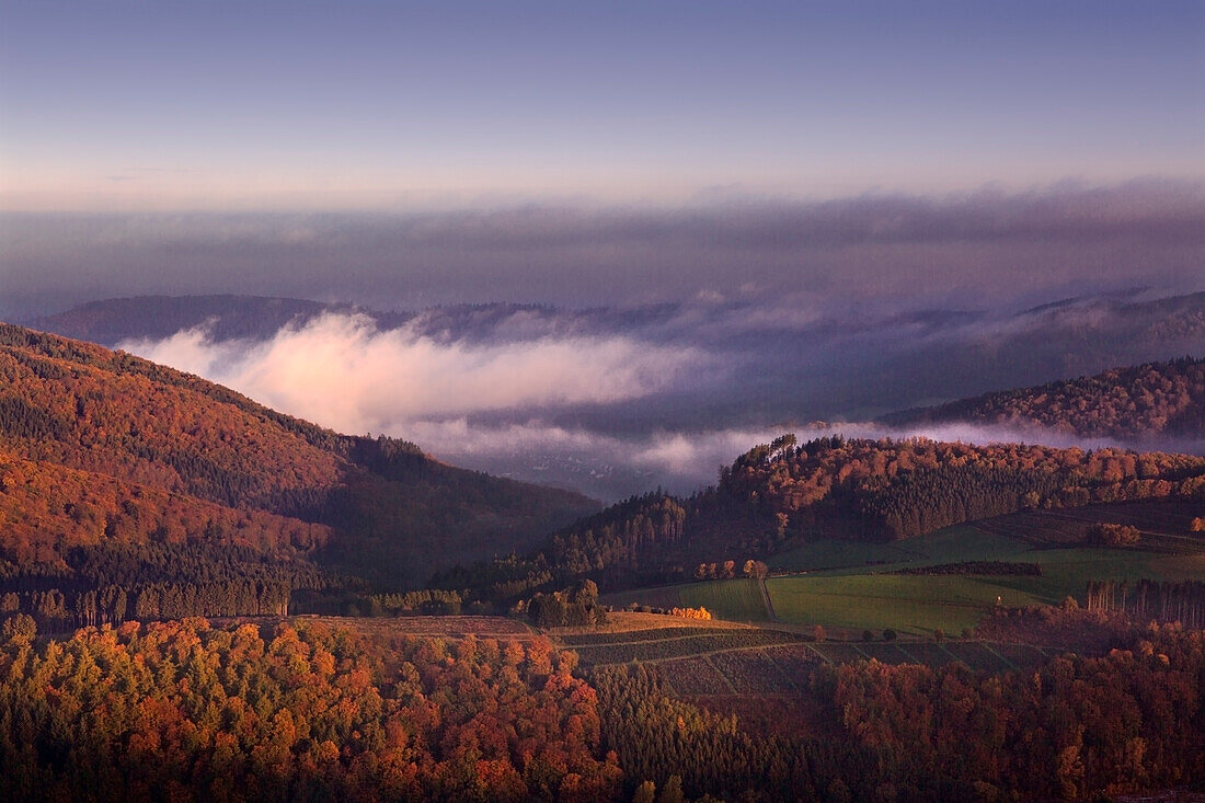 Morgennebel, Bruchhauser Steine, bei Olsberg, Rothaarsteig, Rothaargebirge, Sauerland, Nordrhein-Westfalen, Deutschland