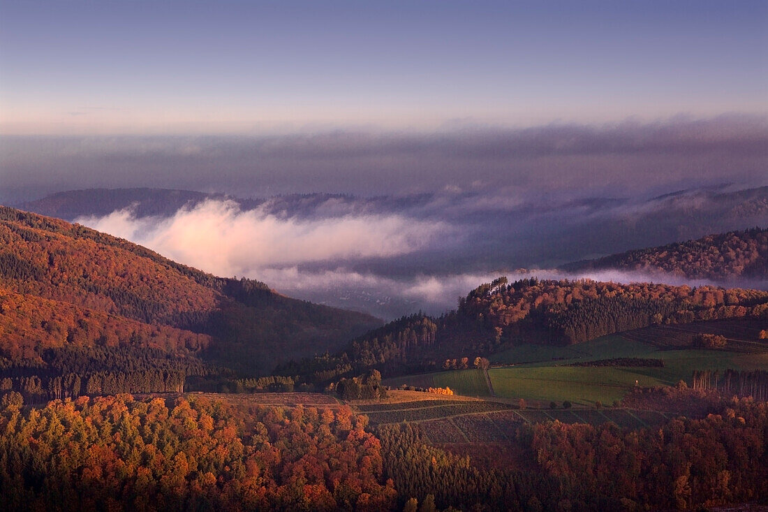 Morning mist, Bruchhauser Steine, near Olsberg, Rothaarsteig hiking trail, Rothaar mountains, Sauerland, North Rhine-Westphalia, Germany