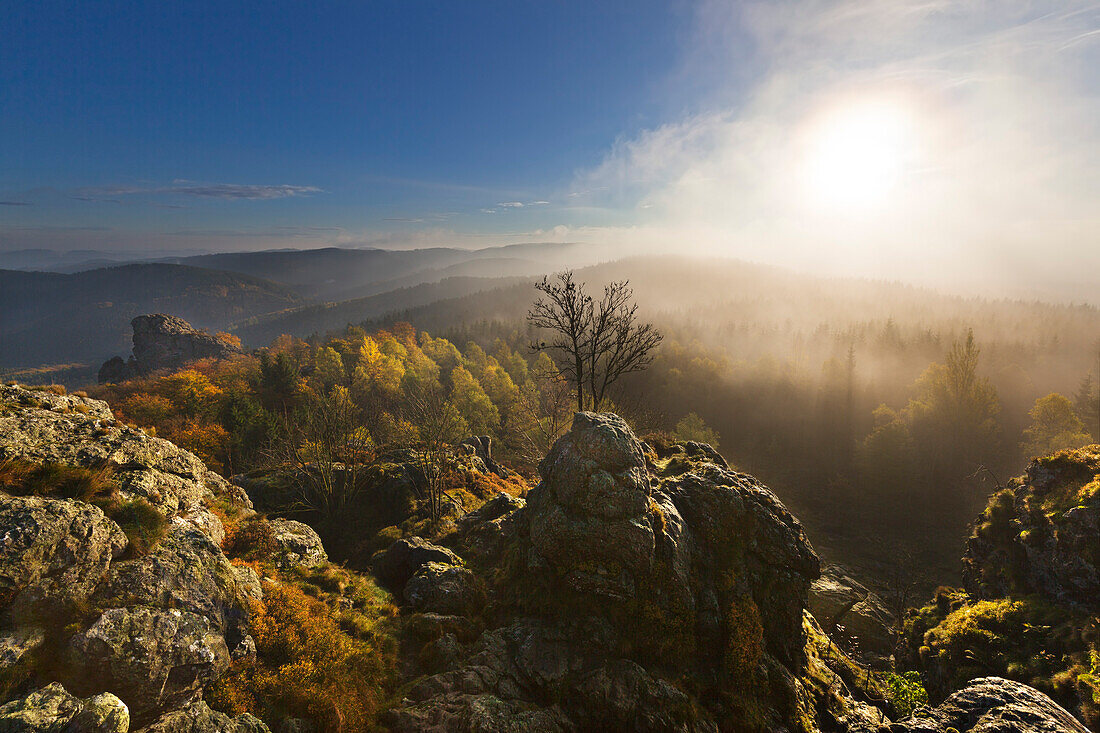 Morgennebel, Bruchhauser Steine, bei Olsberg, Rothaarsteig, Rothaargebirge, Sauerland, Nordrhein-Westfalen, Deutschland