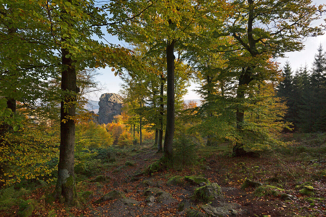 View to Bornstein rock, Bruchhauser Steine, near Olsberg, Rothaarsteig hiking trail, Rothaar mountains, Sauerland, North Rhine-Westphalia, Germany