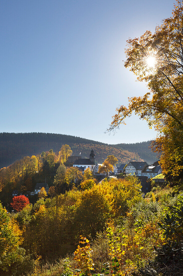 Schmallenberg-Nordenau, Rothaar mountains, Sauerland, North Rhine-Westphalia, Germany