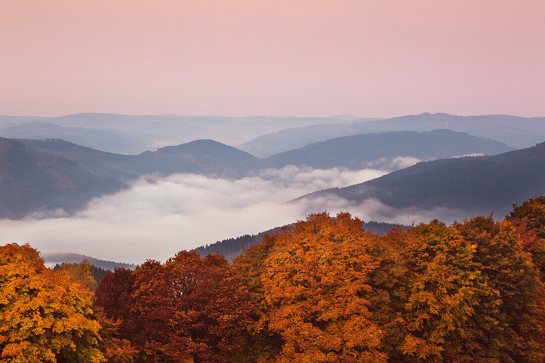 Morgennebel, Blick über die bewaldeten Höhenzüge, bei Wildewiese, Rothaargebirge, Sauerland, Nordrhein-Westfalen, Deutschland