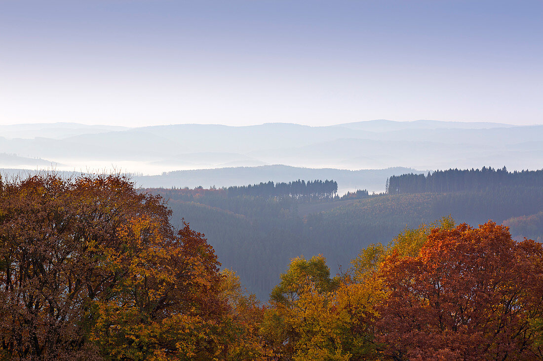 Morning mist, view over the woody hills, near Wildewiese, Rothaar mountains, Sauerland, North Rhine-Westphalia, Germany