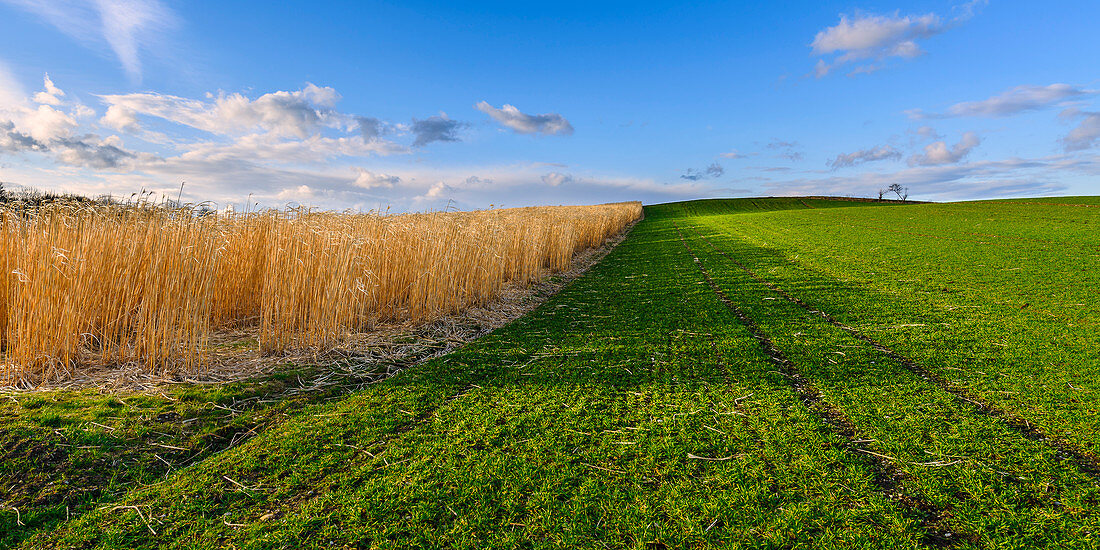 Fields and grassland near Andechs, Bavaria, Germany