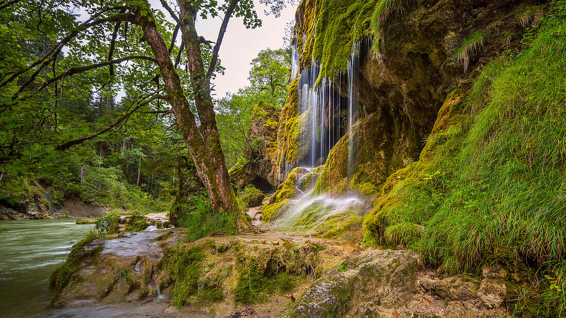 Waterfall Schleierfälle in the gorge Ammerschlucht, Allgäu region, Bavaria, Germany