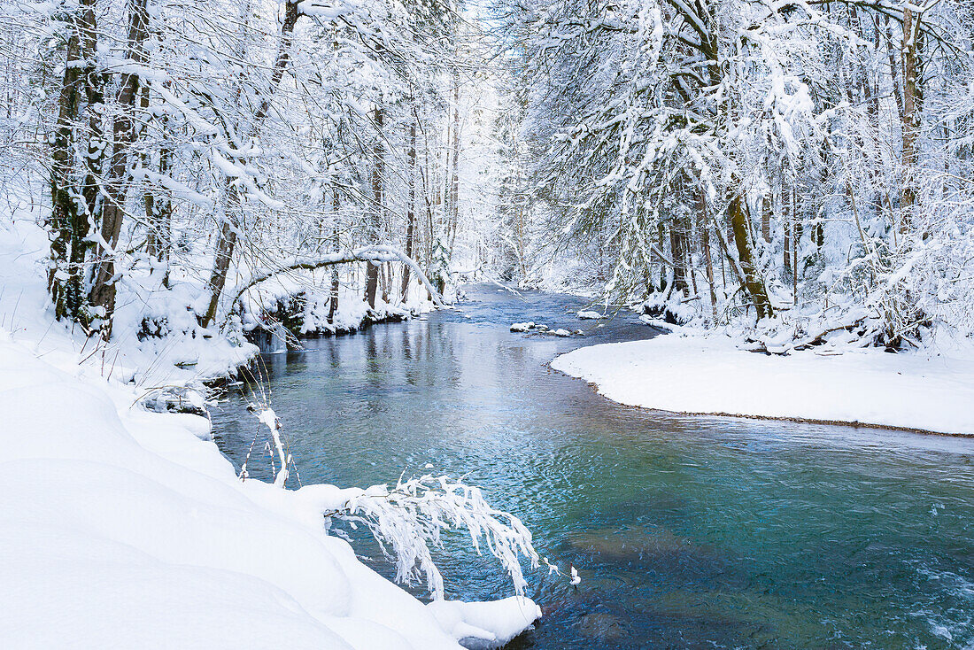 Gorge Eistobel in wintertime, Isny, Allgäu region, Germany