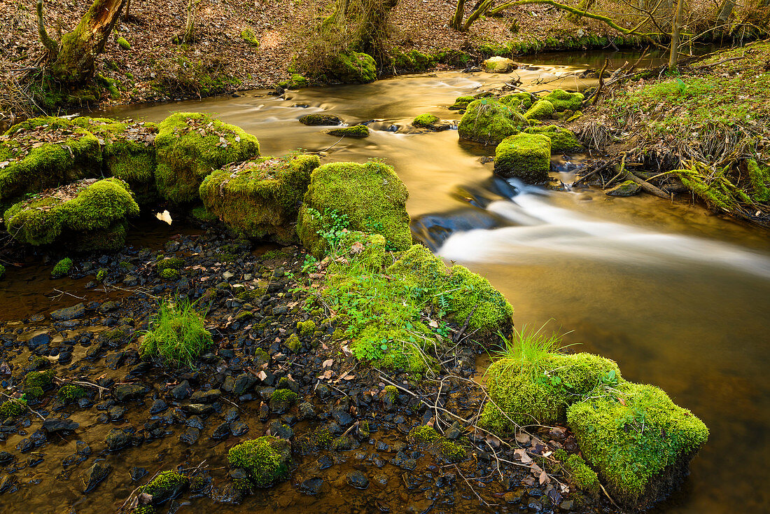 romantic little creek near Seefeld, Bavaria, Germany