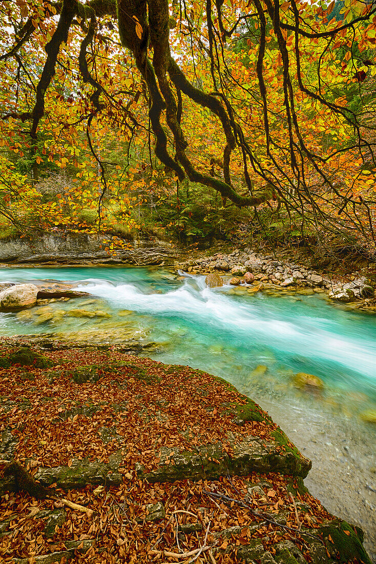 Riß valley in autumn, Karwendel region, Tirol, Austria