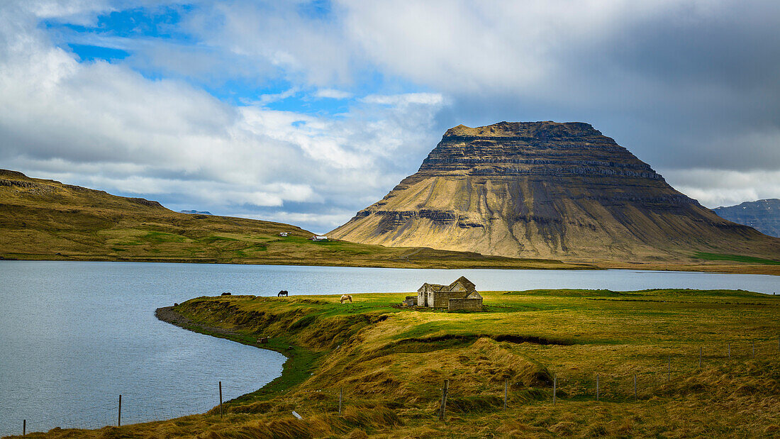 Islandpferde vor dem Kirkjufell, Grundarfjördur, Iceland