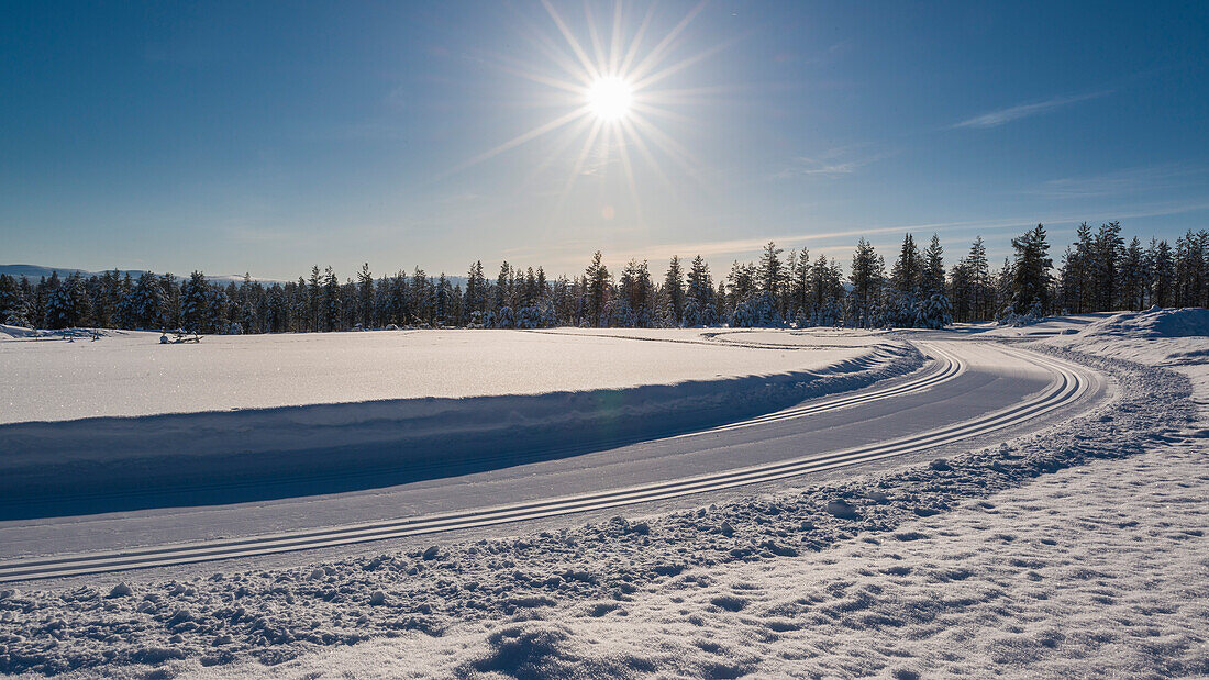 cross country ski track at Pyhä, Pyhä-Luosto National park, finnish Lapland