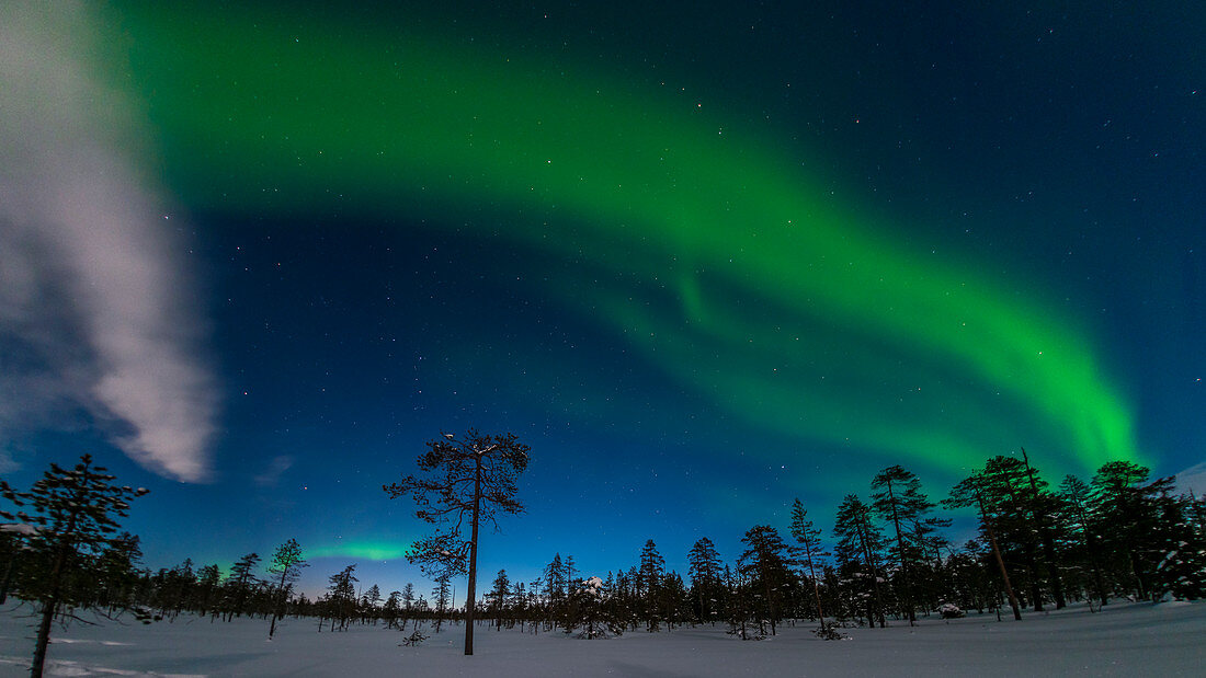 green northern lights in the sky above the Pyhä-Luosto National park, finnish Lapland