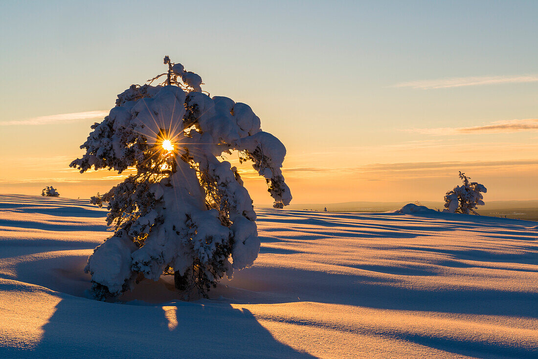 Lange Schatten und warmes Licht auf dem verschneiten Hochplatteau über Luosto, finnisch Lappland