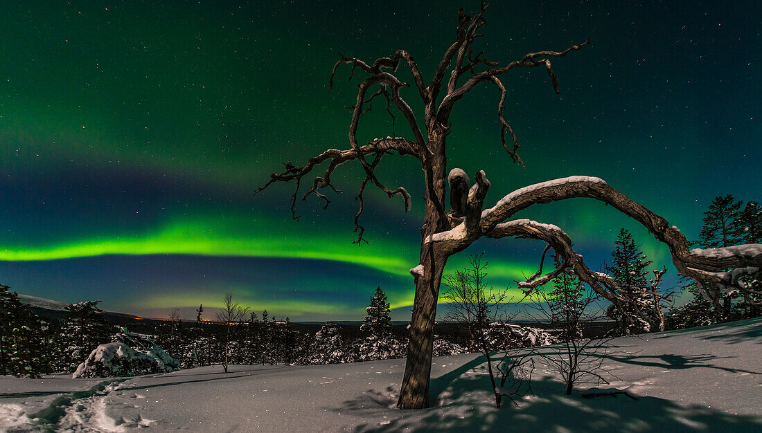 Aurora Borealis über den Hügeln  des Pyhä-Luosto Nationalpark, finnisch Lappland