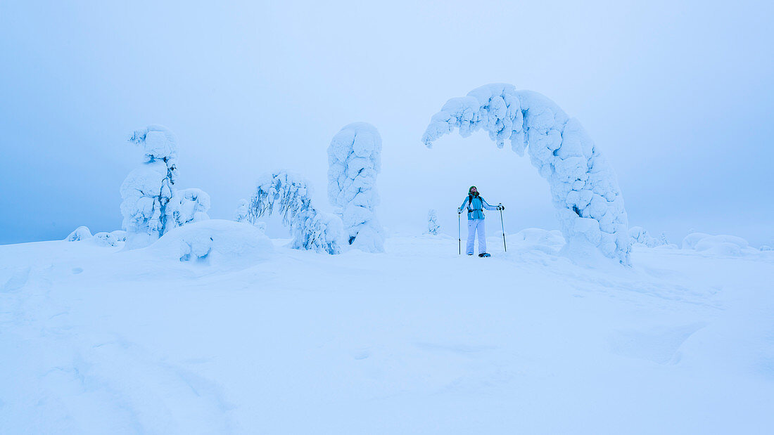 Schneeschuh Wanderung durch die tief verschneiten Bäume des Pyhä-Luosto Nationalparks, finnisch Lappland