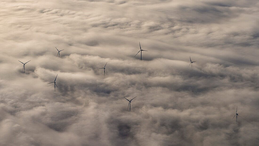wind farm in dense ground fog, Düsseldorf Ruhr area, Germany