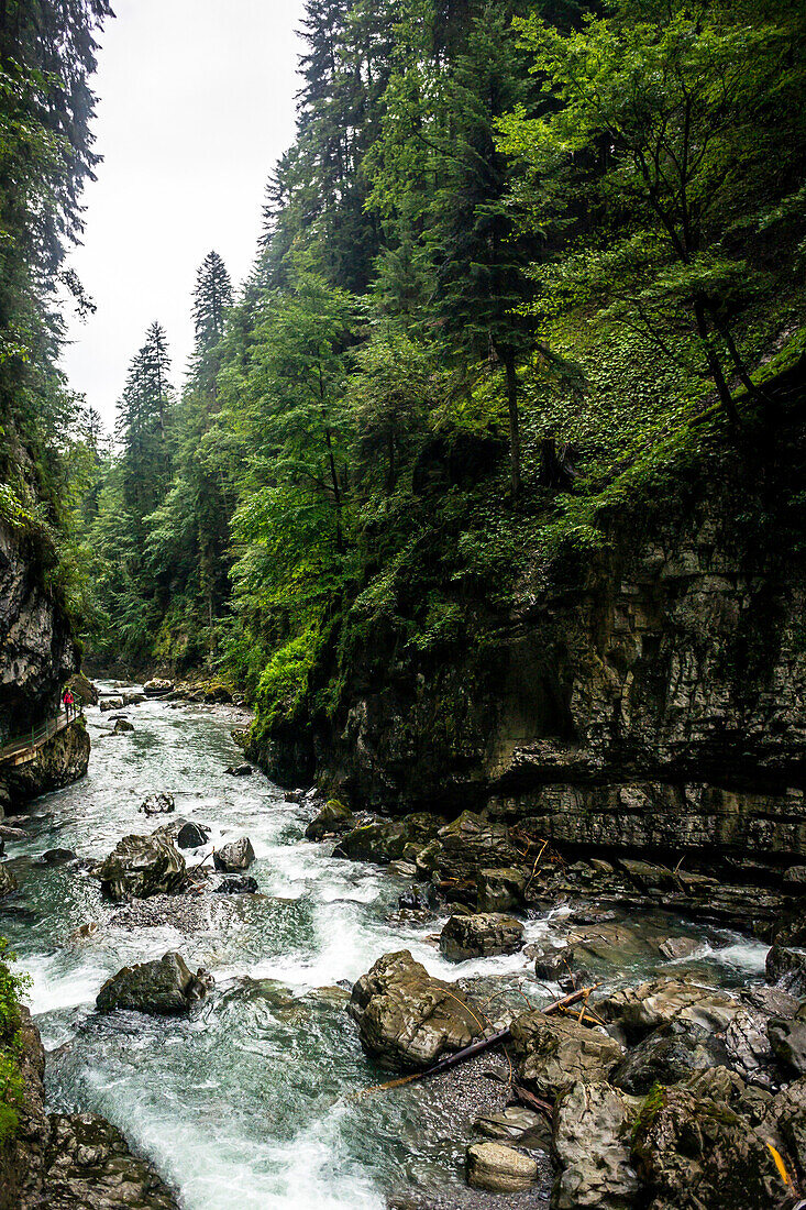 Flusslandschaft, trockenes Flussbett mit Vegetation, Springkraut, Bayern, Oberallgäu, Oberstdorf, Alpen, Deutschland