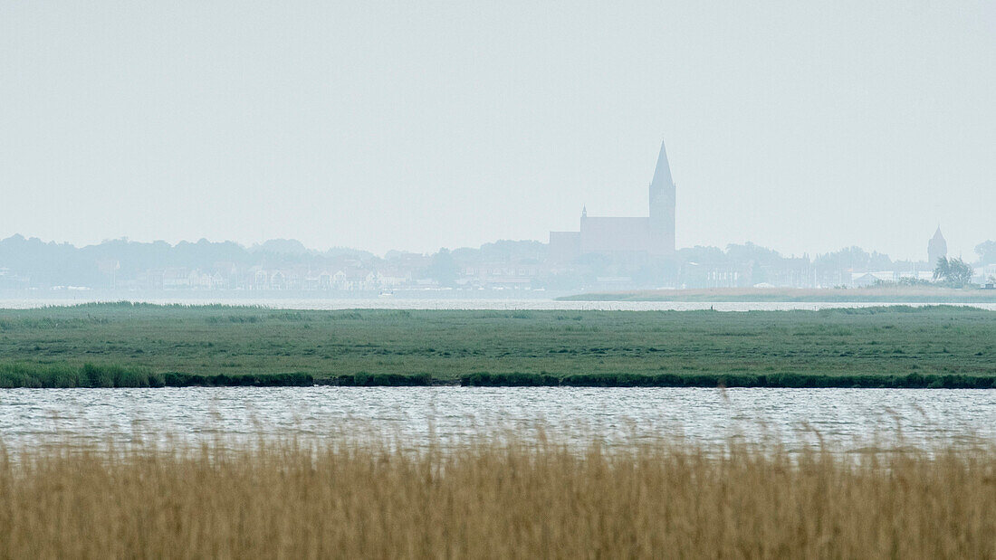 Zingst, Baltic Sea, seaside resort, health resort, Barther Bodden, reed belt, church, village, coastal strip, church tower, brackish water, Germany